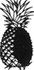 A black and white image of a pineapple

AI-generated content may be incorrect.