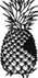 A black and white image of a pineapple

AI-generated content may be incorrect.